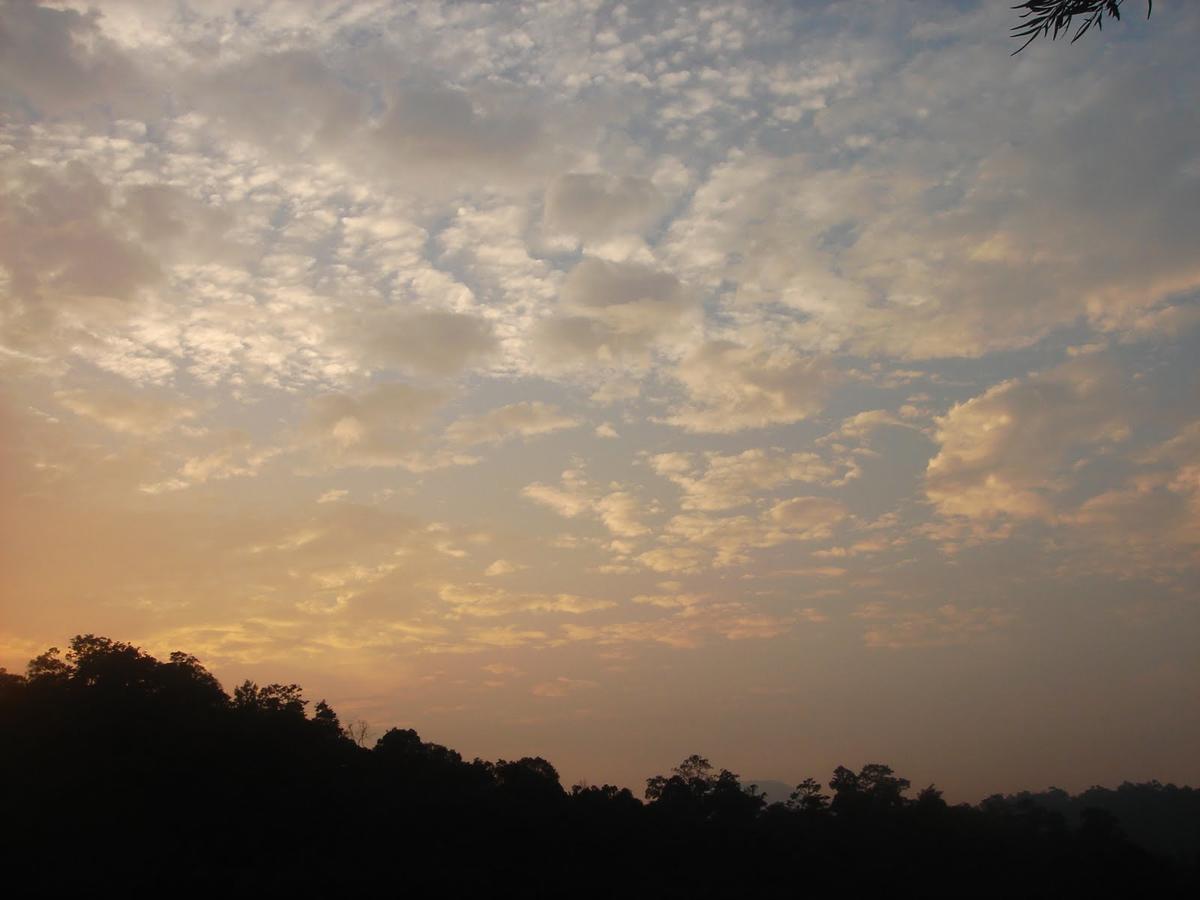 Wild Elephant Eco Friendly Resort Munnar Exterior photo