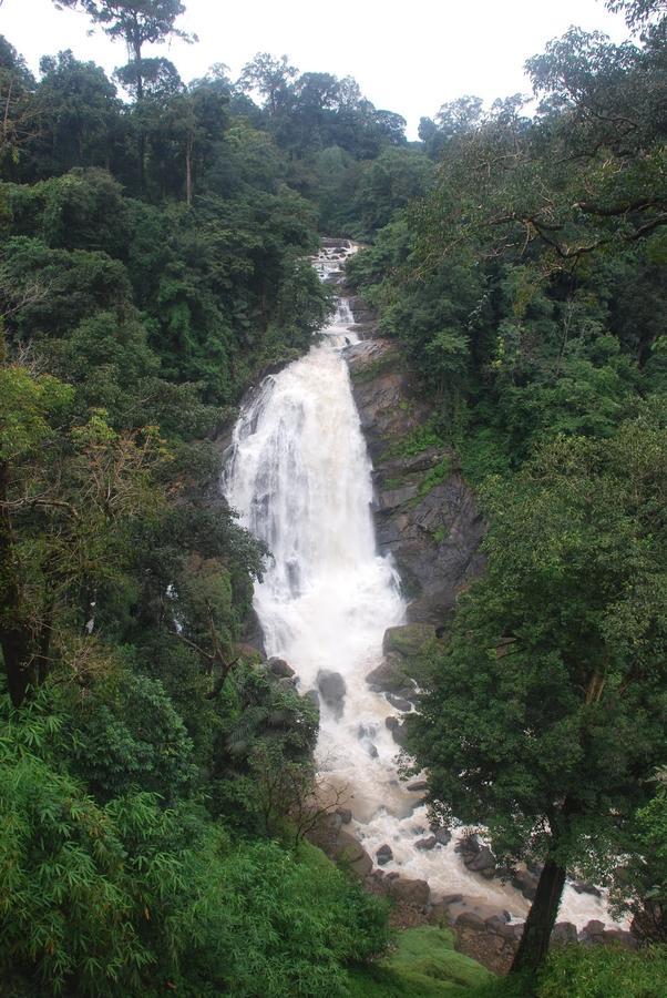 Wild Elephant Eco Friendly Resort Munnar Exterior photo