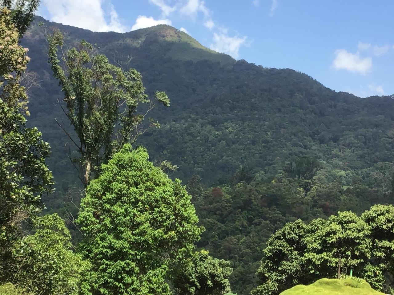 Wild Elephant Eco Friendly Resort Munnar Exterior photo